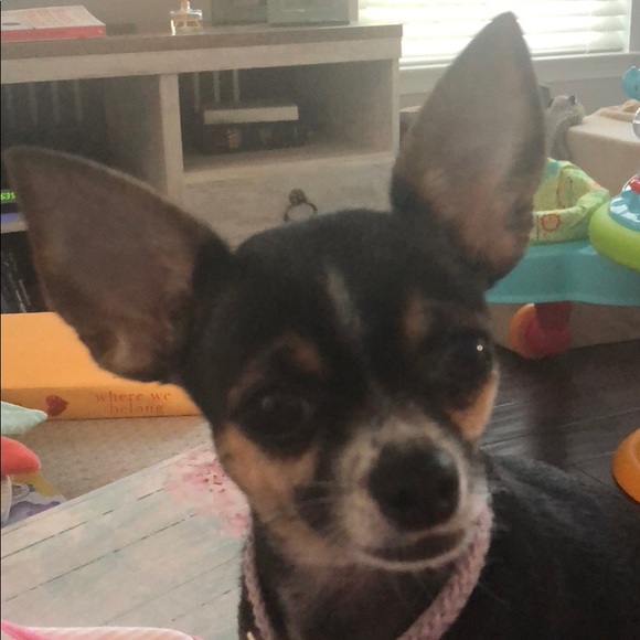 Meet your Posher, Lindsay - Picture 1 of 1